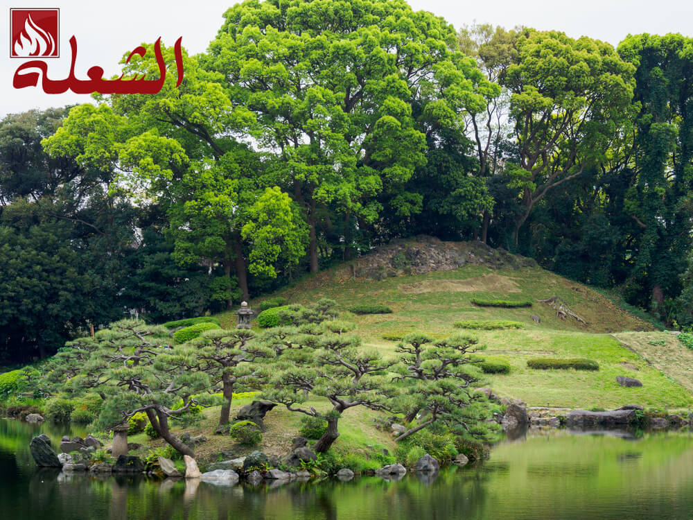 شركة تصميم حدائق بالباحه