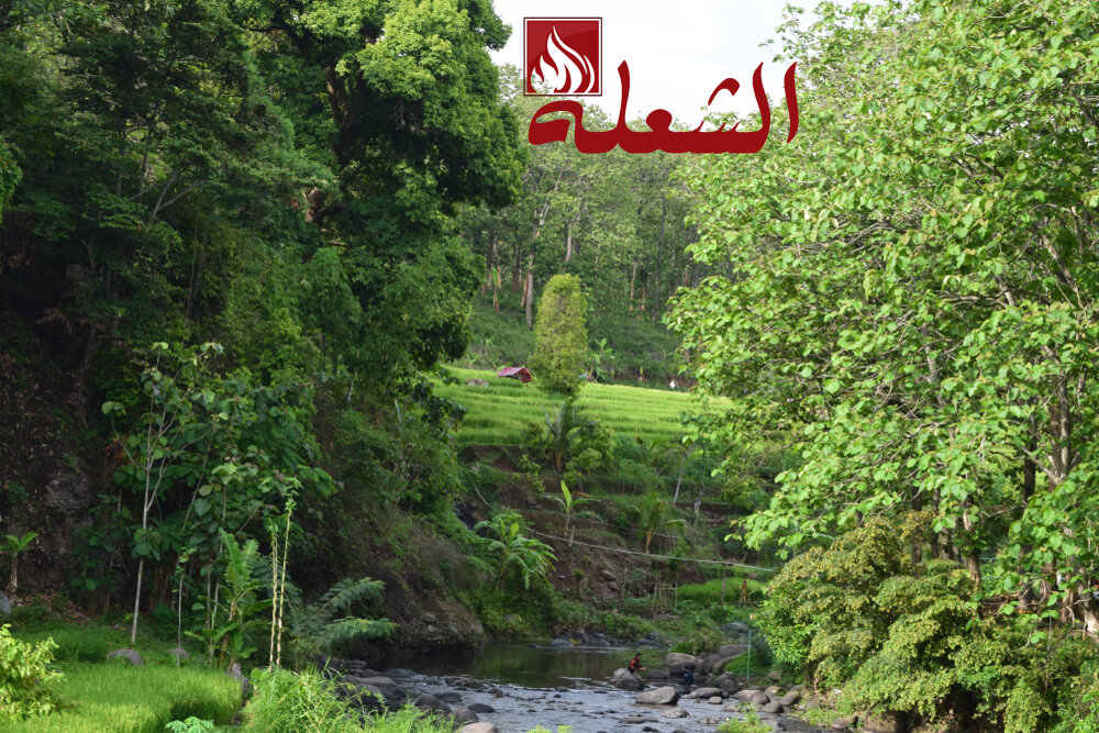 شركة تنسيق حدائق بالمدينه المنوره