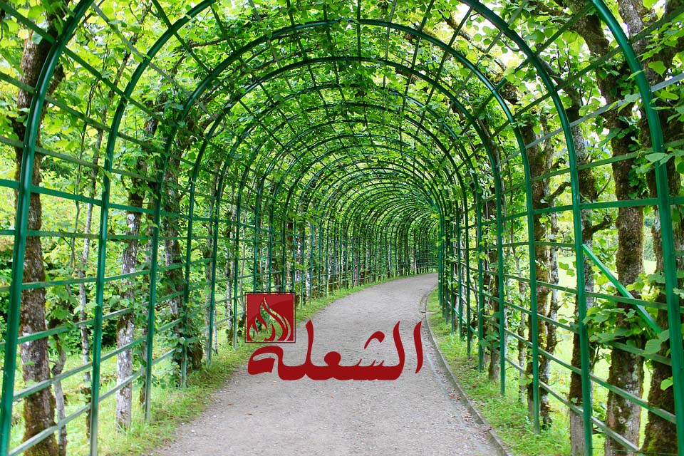 شركة تصميم حدائق بالخبر