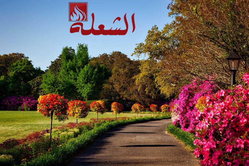 شركة تنسيق حدائق بالقطيف