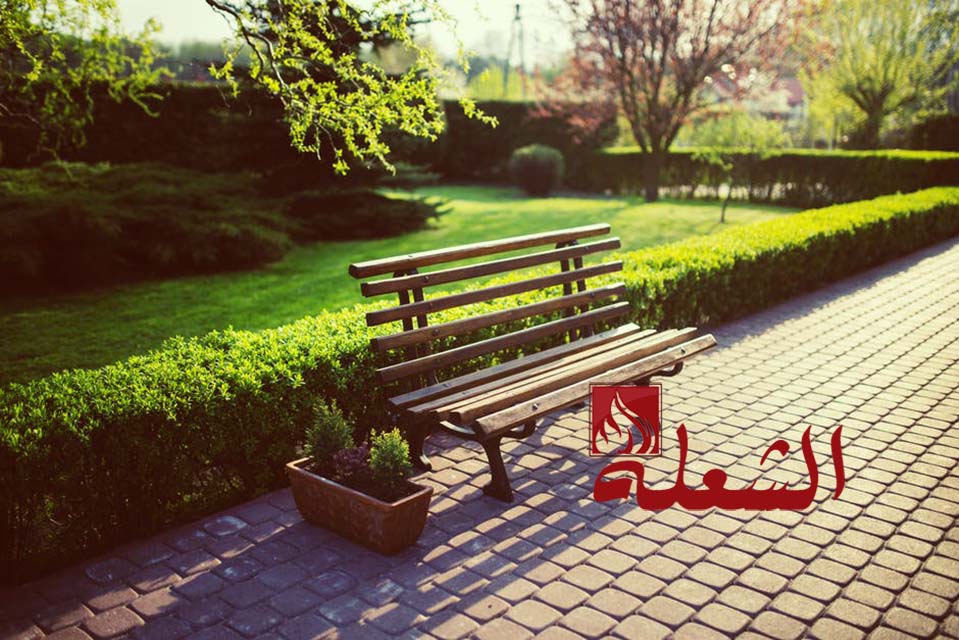 شركة تنسيق حدائق بالخرج