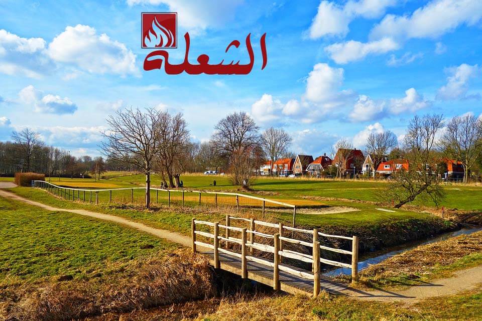 تركيب وتوريد ثيل طبيعي بالقطيف