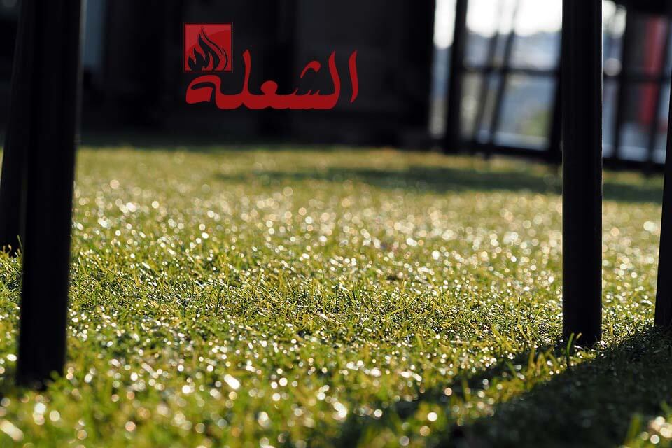 شركة تركيب وتوريد عشب صناعي بالخرج