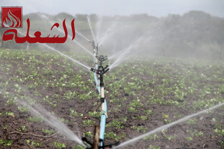 شركة تصميم شبكات ري بالمدينه المنوره