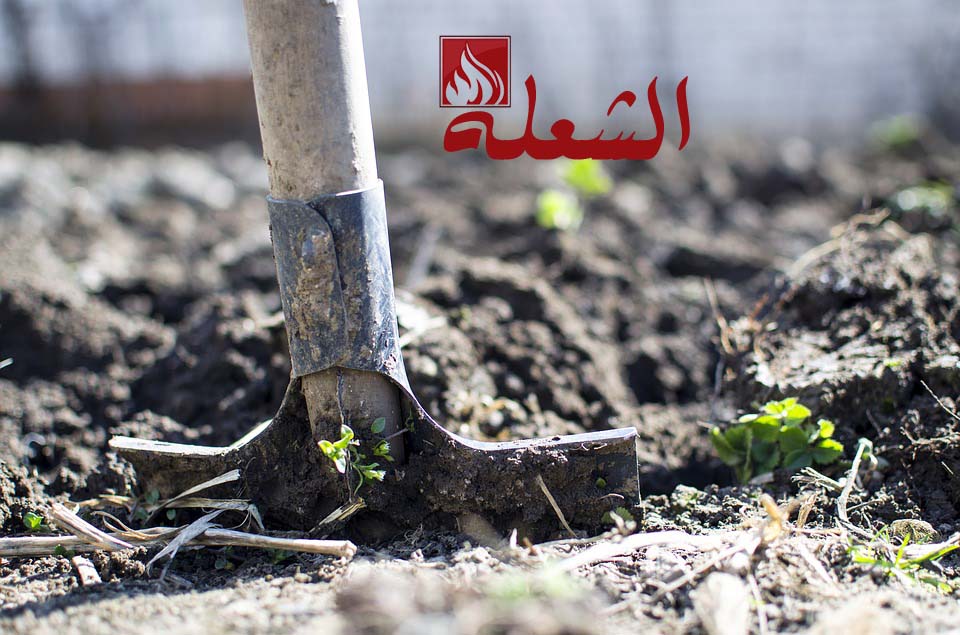 شركة تنسيق حدائق بالجبيل