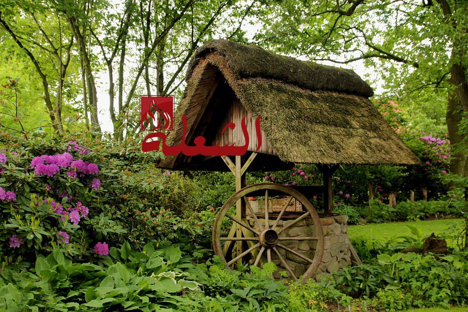 شركة تصميم حدائق بالقطيف