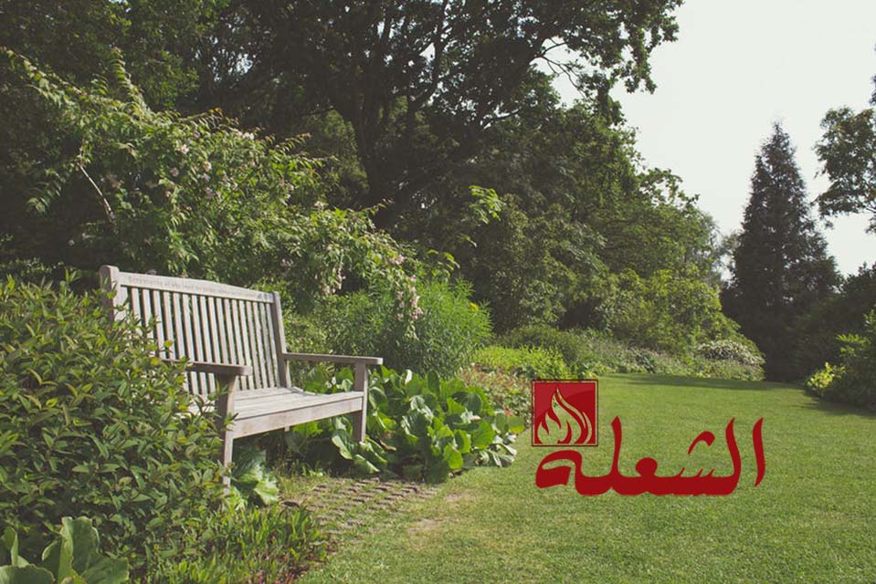 شركة تنسيق حدائق بالاحساء