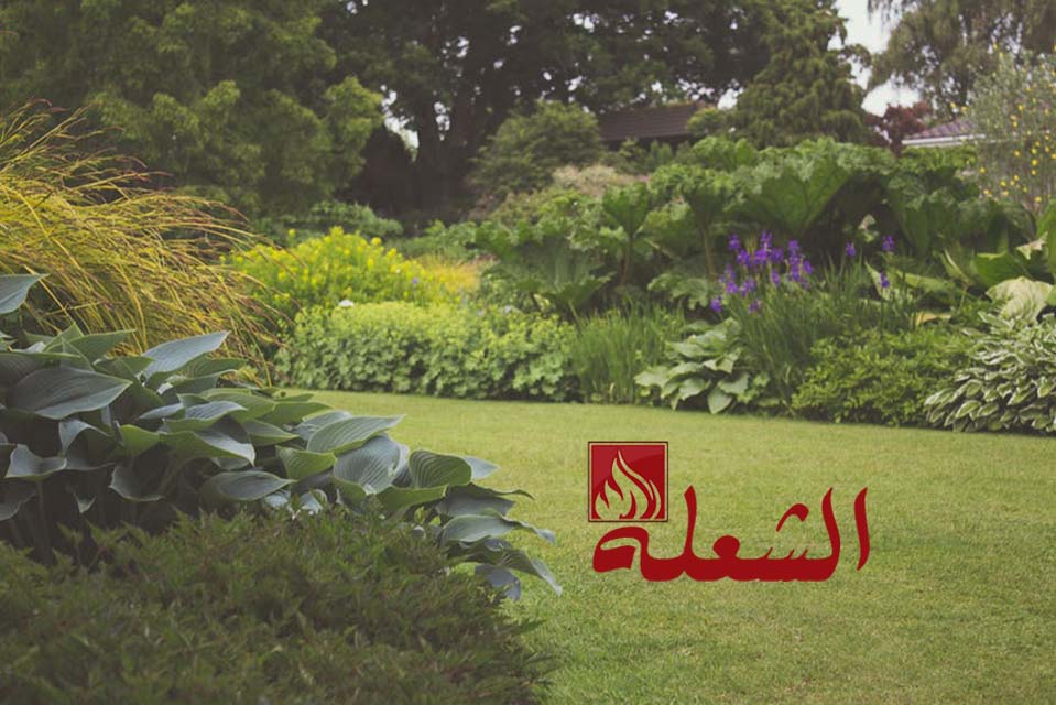 شركة تصميم حدائق بالاحساء