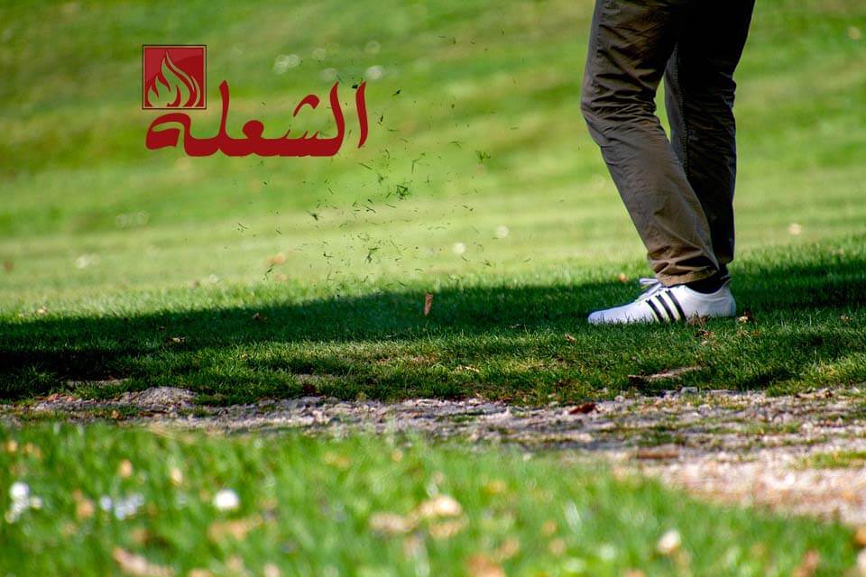 تركيب وتوريد ثيل طبيعي بالرياض