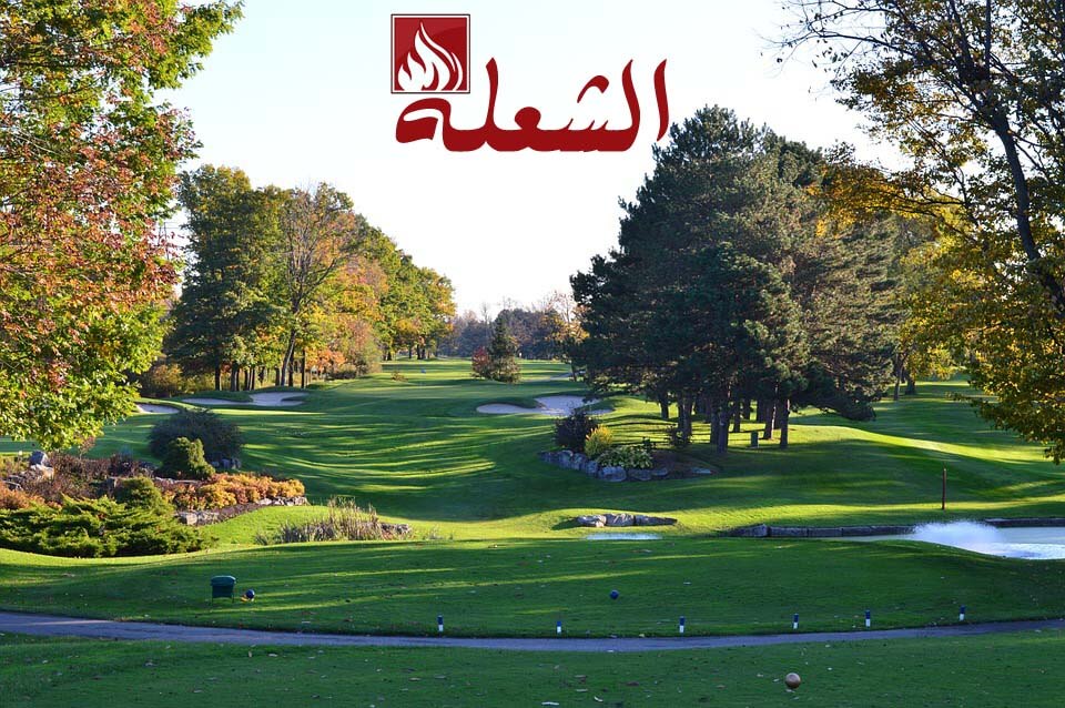 تركيب وتوريد ثيل طبيعي بالقطيف