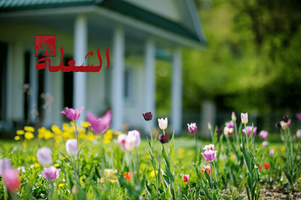شركة تصميم حدائق بابها
