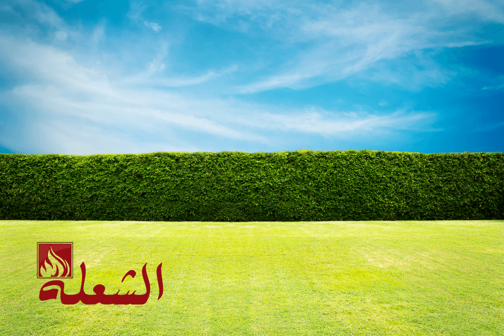 شركة تصميم حدائق بمكة