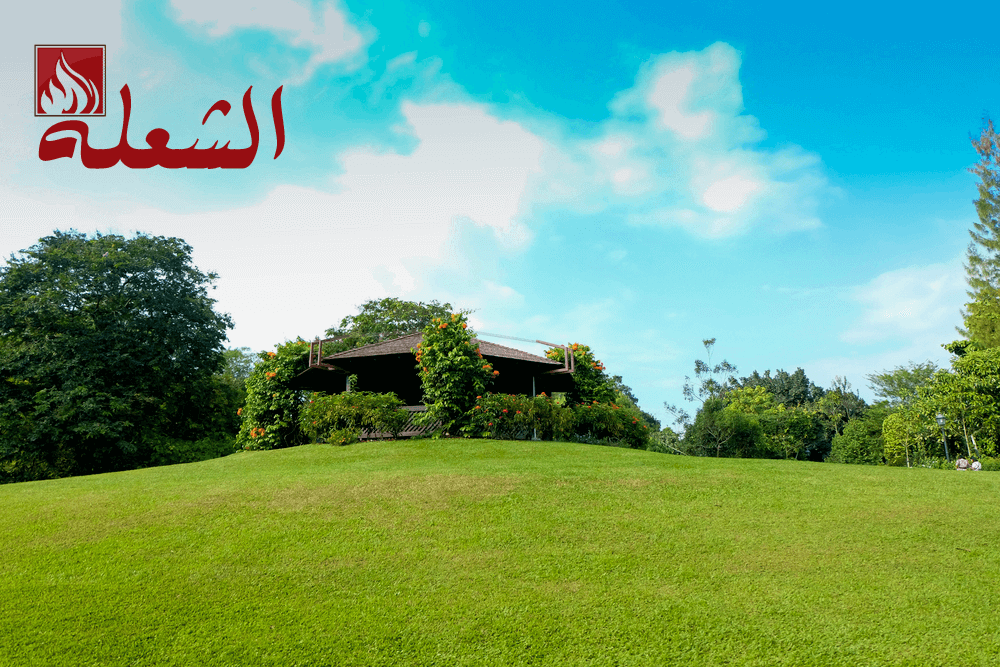 شركة تصميم شبكات ري بخميس مشيط