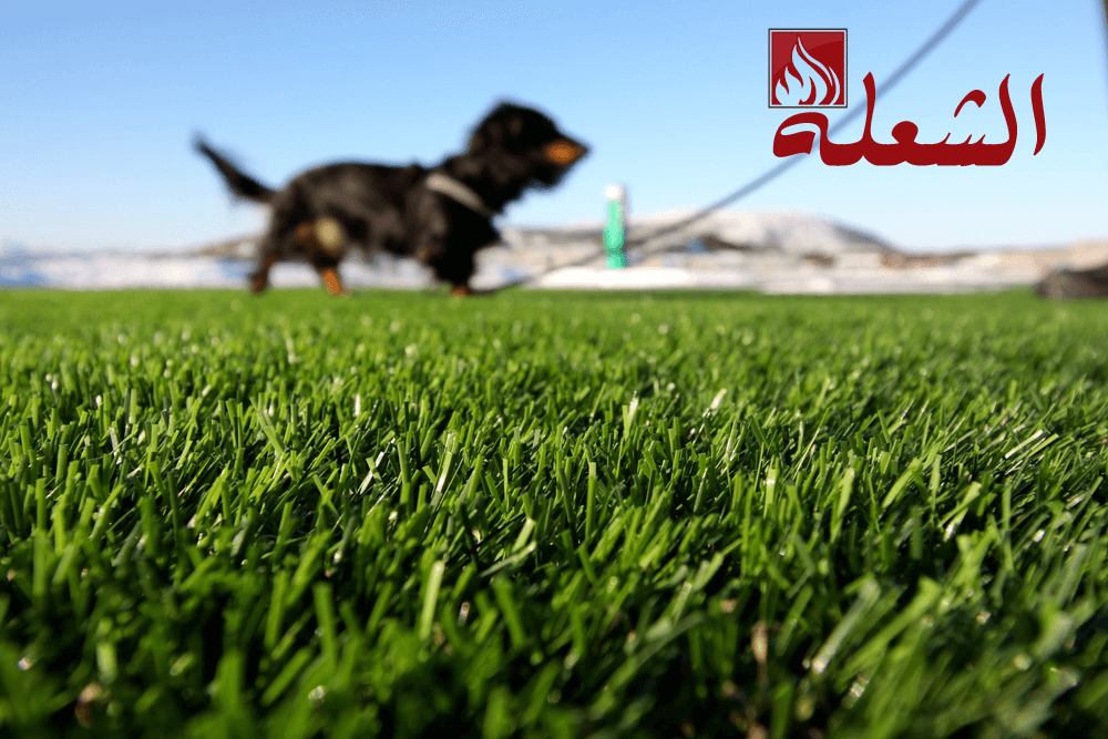 شركة تركيب وتوريد عشب طبيعي بالطائف