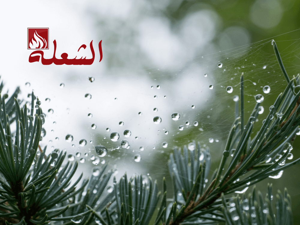 شركة تصميم شبكات ري ببريدة