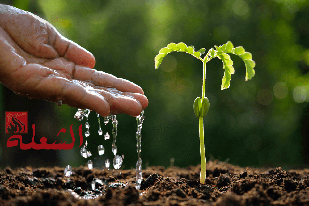 شركة تصميم شبكات ري ببريدة