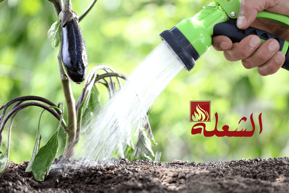 شركة تصميم شبكات ري بجازان