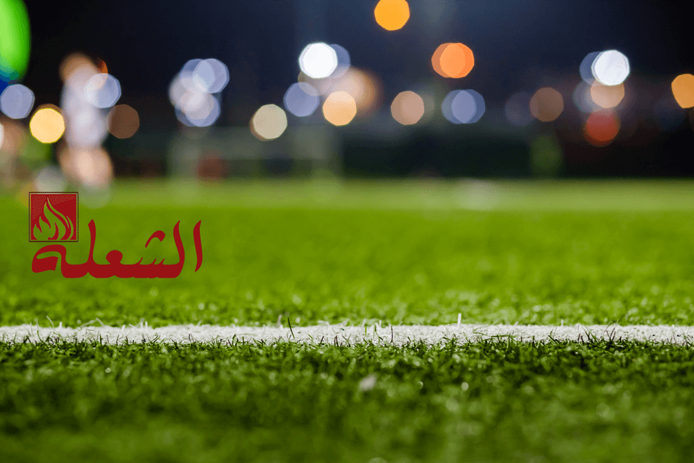 تركيب وتوريد عشب صناعي بابها