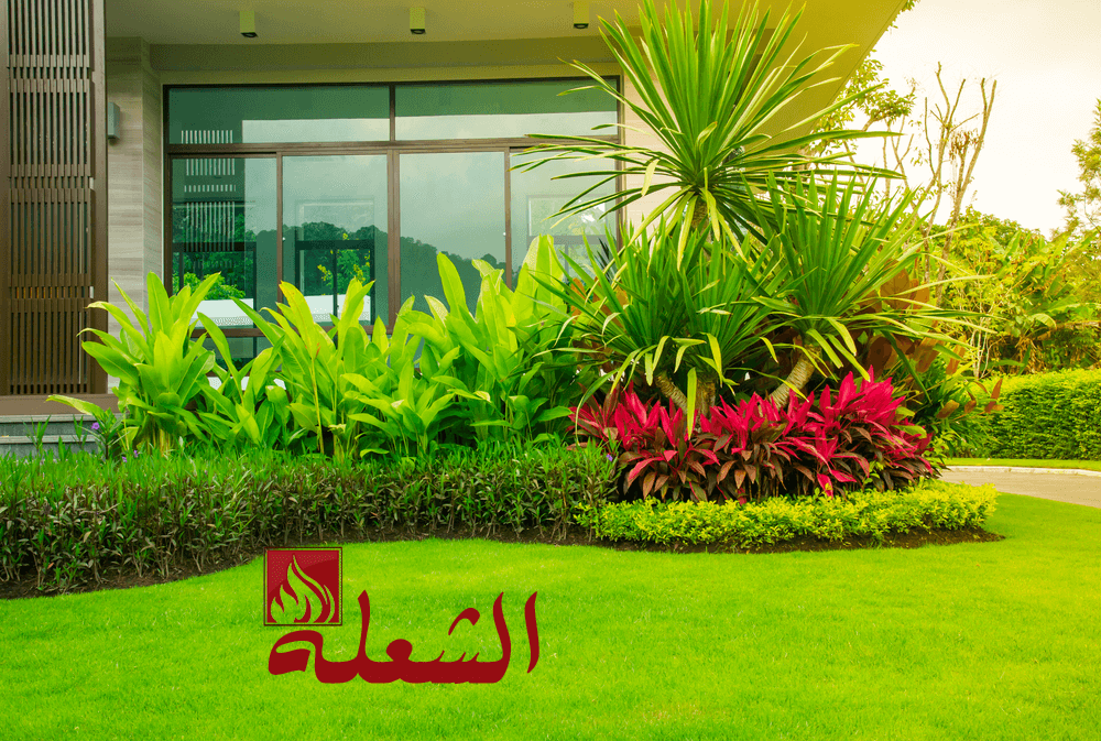 شركة تصميم حدائق بالطائف