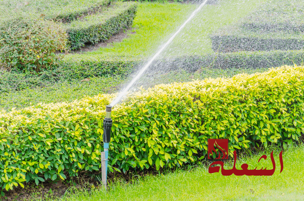 شركة تصميم شبكات ري بالطائف