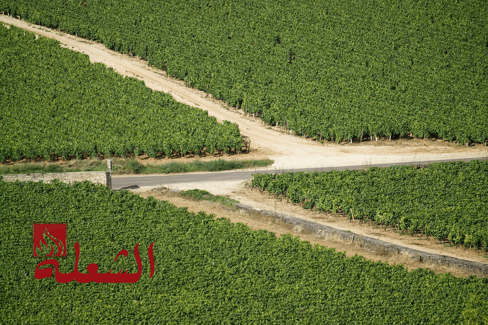 شركة تصميم شبكات ري بجدة