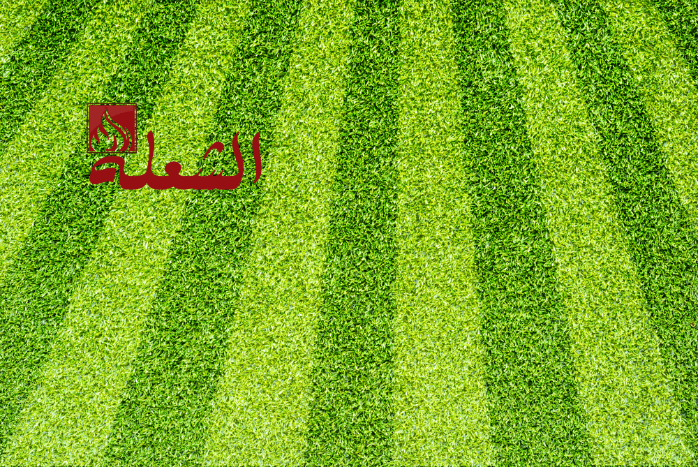 تركيب وتوريد ثيل طبيعي بمكة