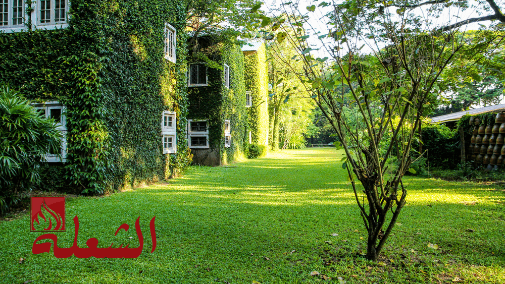 شركة تنسيق حدائق بالطائف