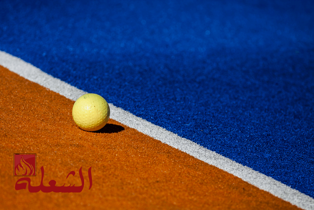 شركة تركيب وتوريد عشب صناعي ببريدة