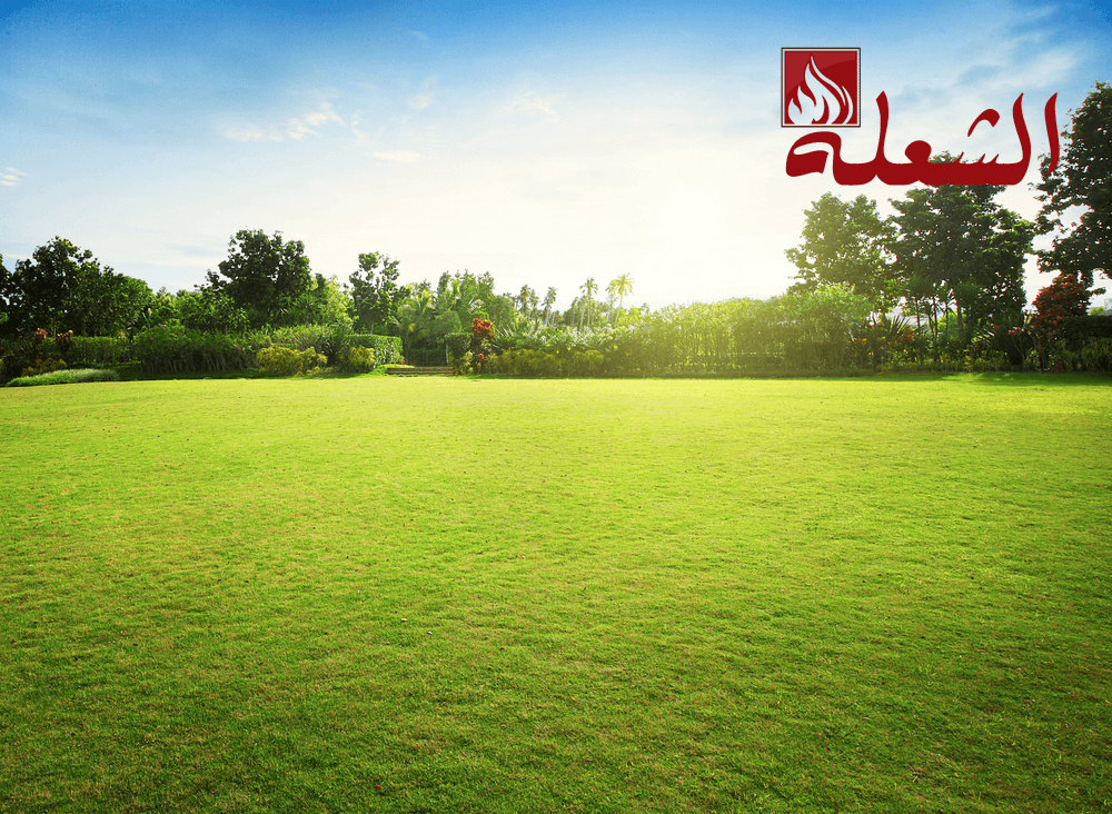 تركيب وتوريد ثيل طبيعي بالقصيم