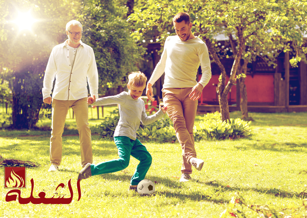 شركة تنسيق حدائق بابها