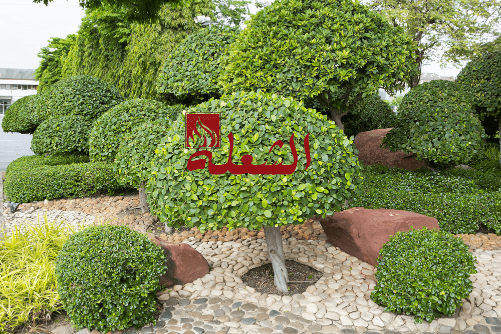 شركة تصميم حدائق بجدة