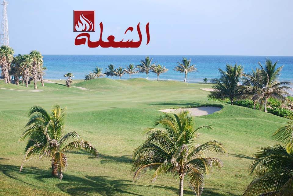 شركة تركيب وتوريد عشب طبيعي بالدمام