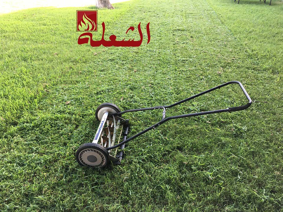شركة تنسيق حدائق بالدمام