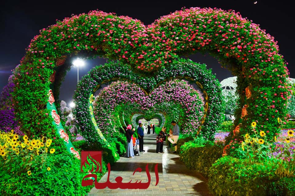 شركة تصميم حدائق بالجبيل