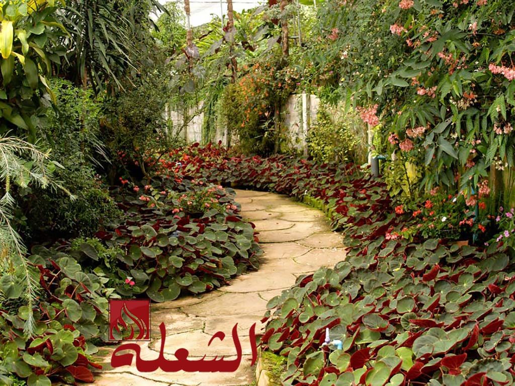شركة تنسيق حدائق بالدمام