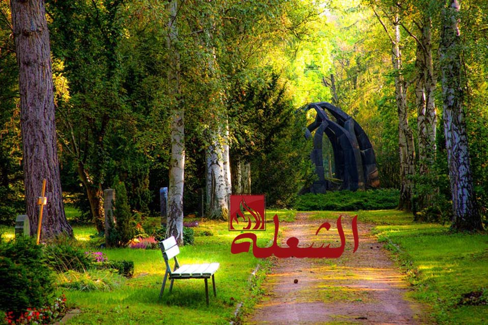 شركة تصميم حدائق بالرياض