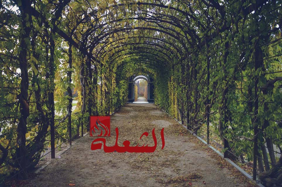 شركة تصميم حدائق بالرياض