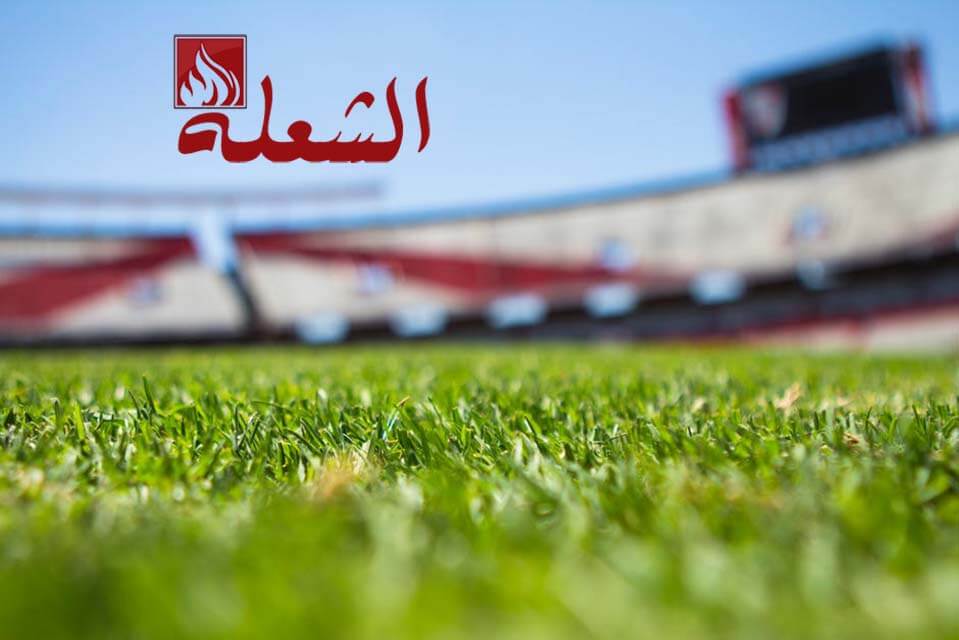 شركة تركيب وتوريد عشب صناعي بالرياض