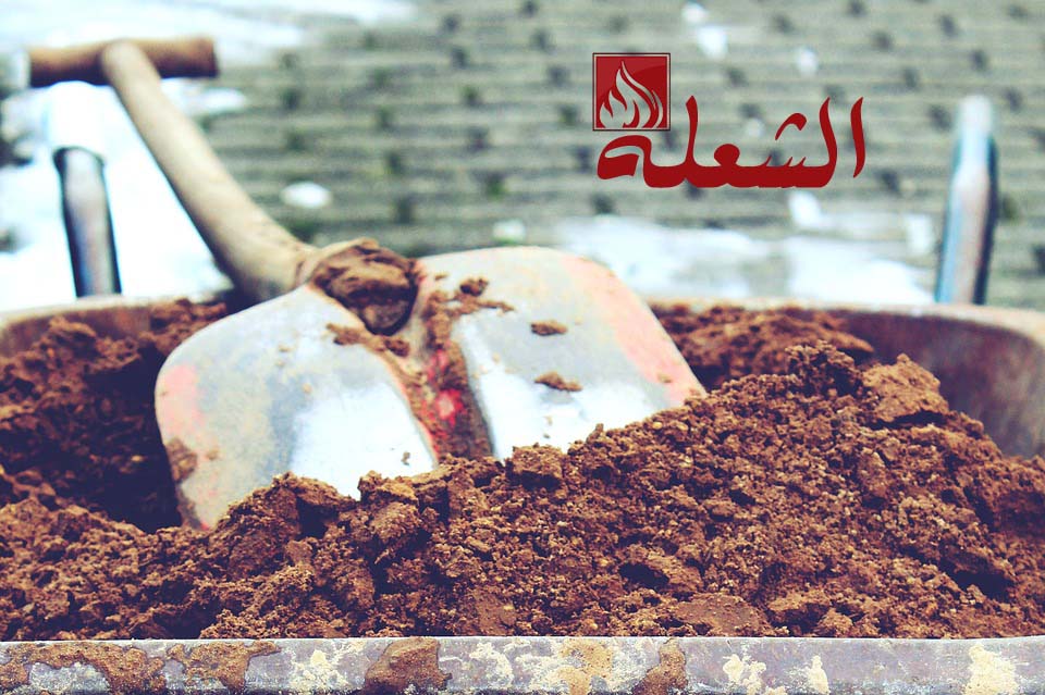 شركة تنسيق حدائق بالقصيم