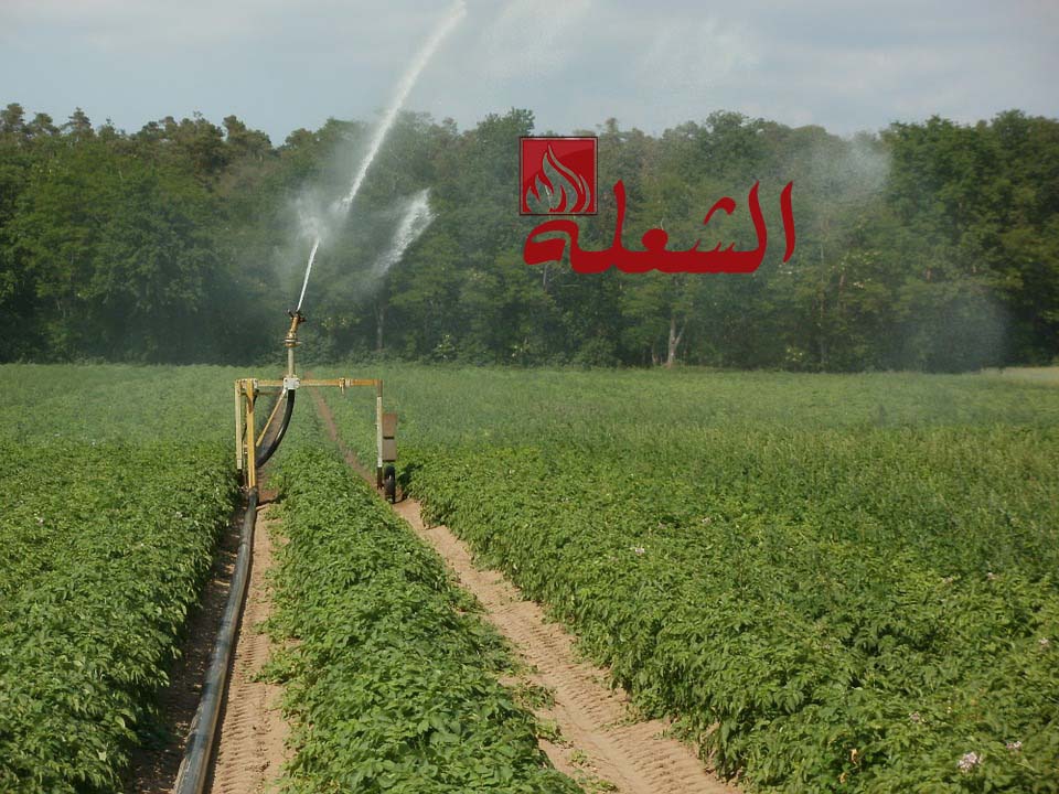 شركة تصميم شبكات ري بالدمام