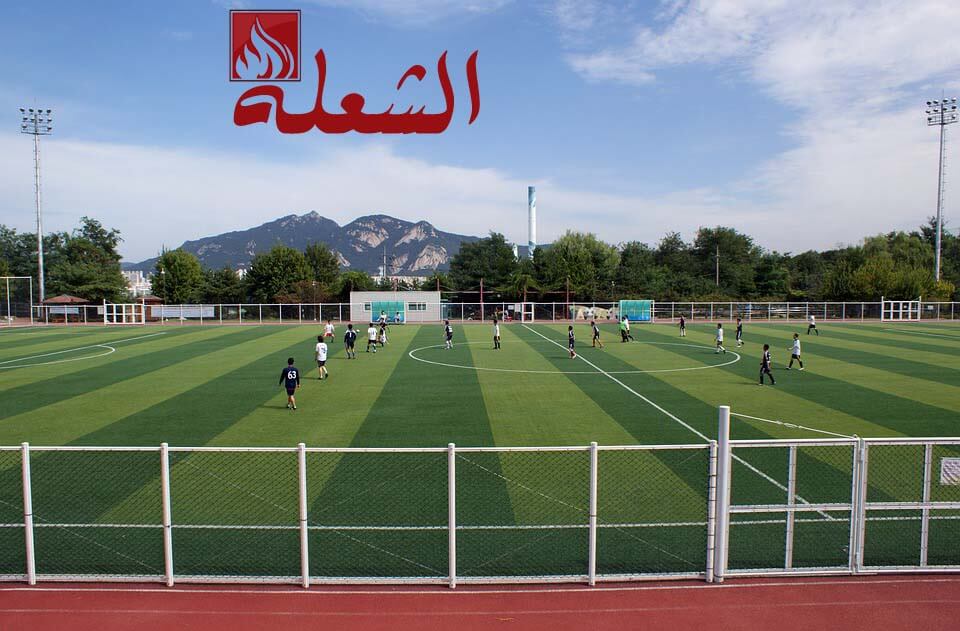 تركيب وتوريد ثيل صناعي بالدمام