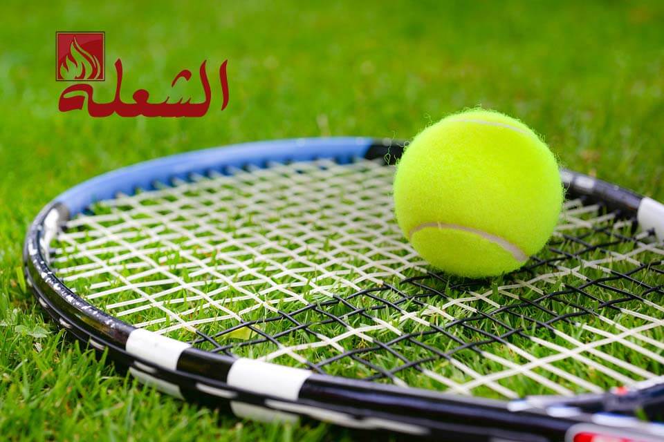 تركيب وتوريد ثيل صناعي بالاحساء