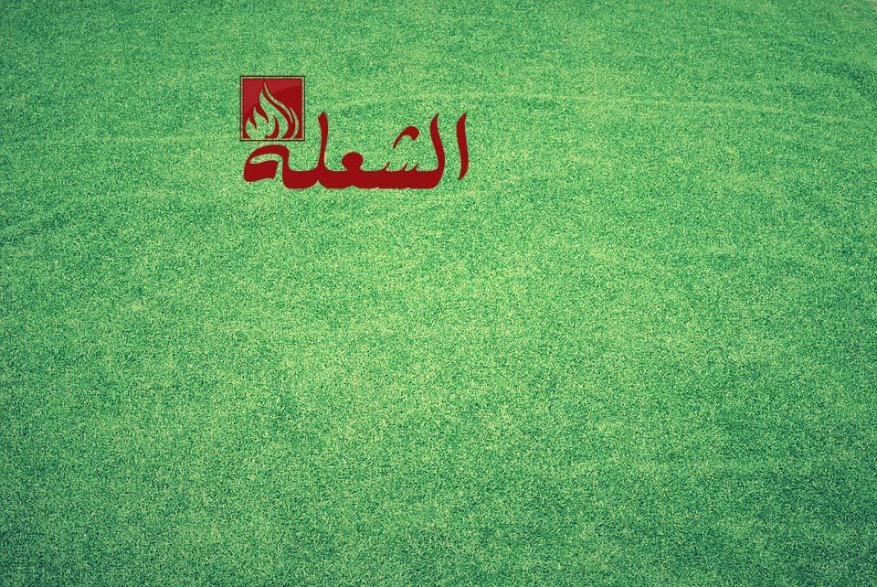 تركيب وتوريد ثيل صناعي بالخبر
