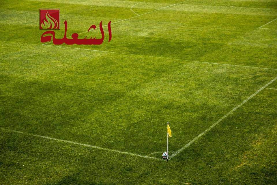 شركة تركيب وتوريد عشب صناعي بالخبر